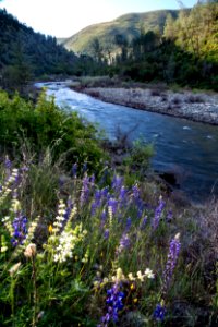 Merced Wild and Scenic River