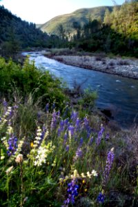 Merced Wild and Scenic River photo