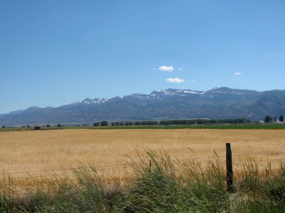 Surprise Valley Barrel Springs Back-Country Byway