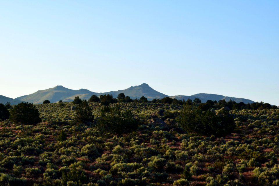 Fort Sage Special Recreation Management Area