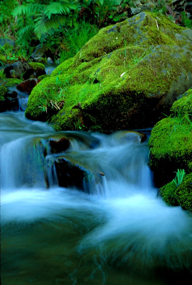 King Range National Conservation Area