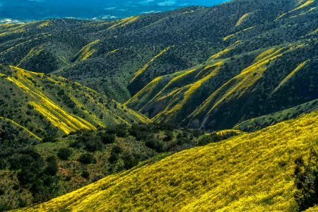 Caliente Curves by Kevin Roland
