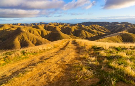 Panoche Hills photo