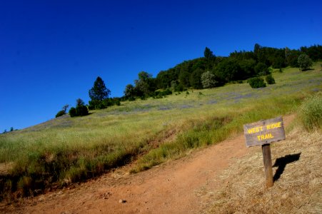 Flocking Back to the Hills of Cronan Ranch photo