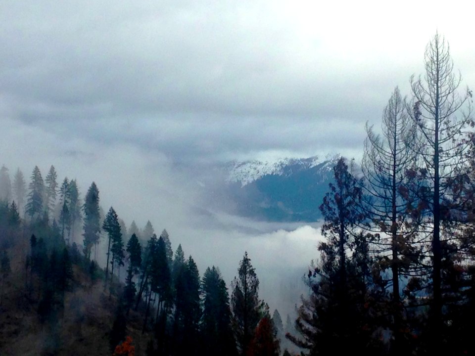 Trinity County Views from Little Brown's Creek Fire