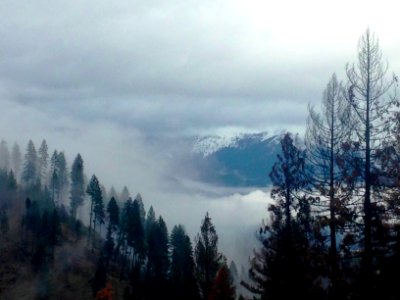 Trinity County Views from Little Brown's Creek Fire