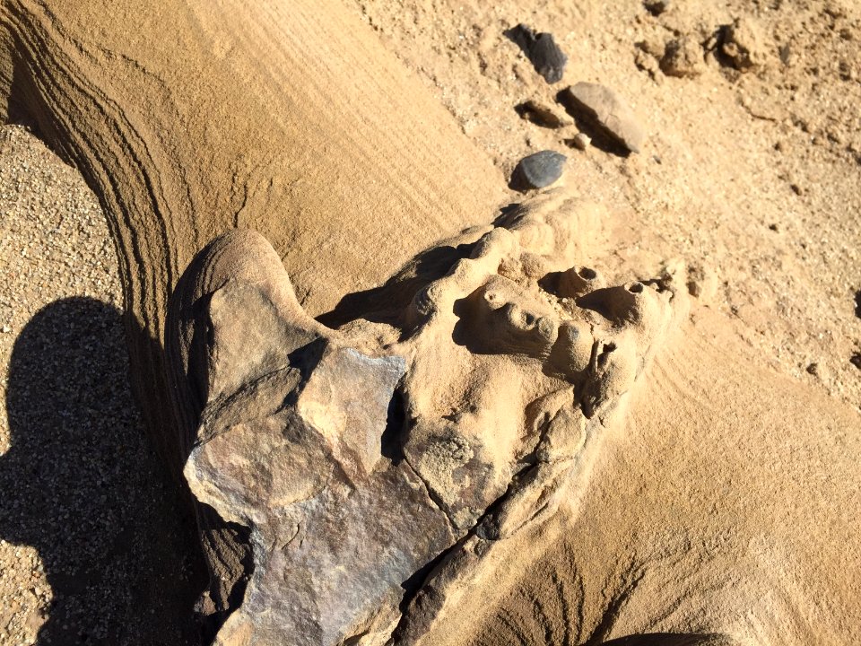 5M year old barnicles in the Superstition Mountains in the El Centro Field Office