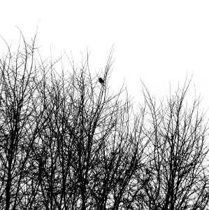 Invierno