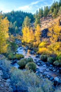 Bizz Johnson Trail