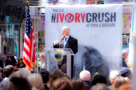 Ivory Crush 2015 - New York City