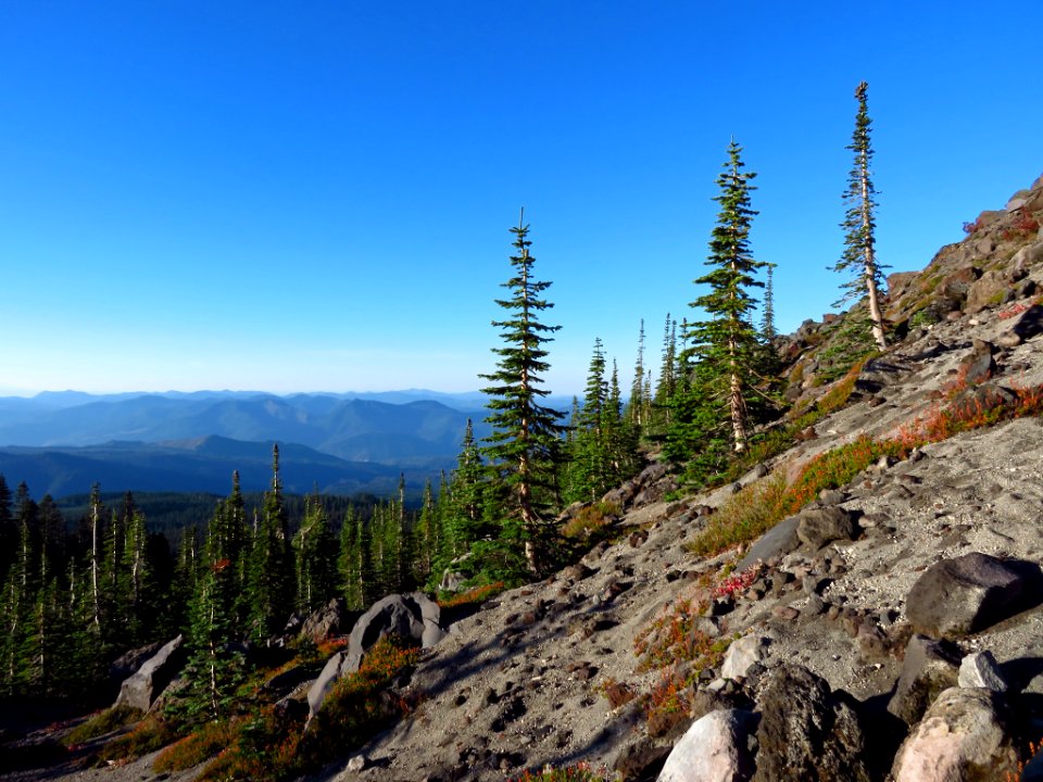 Mt. St. Helens Summit Trail in WA