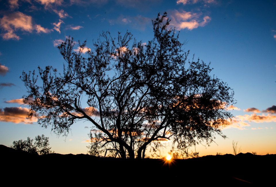 BLM Palm Springs-South Coast sunrise