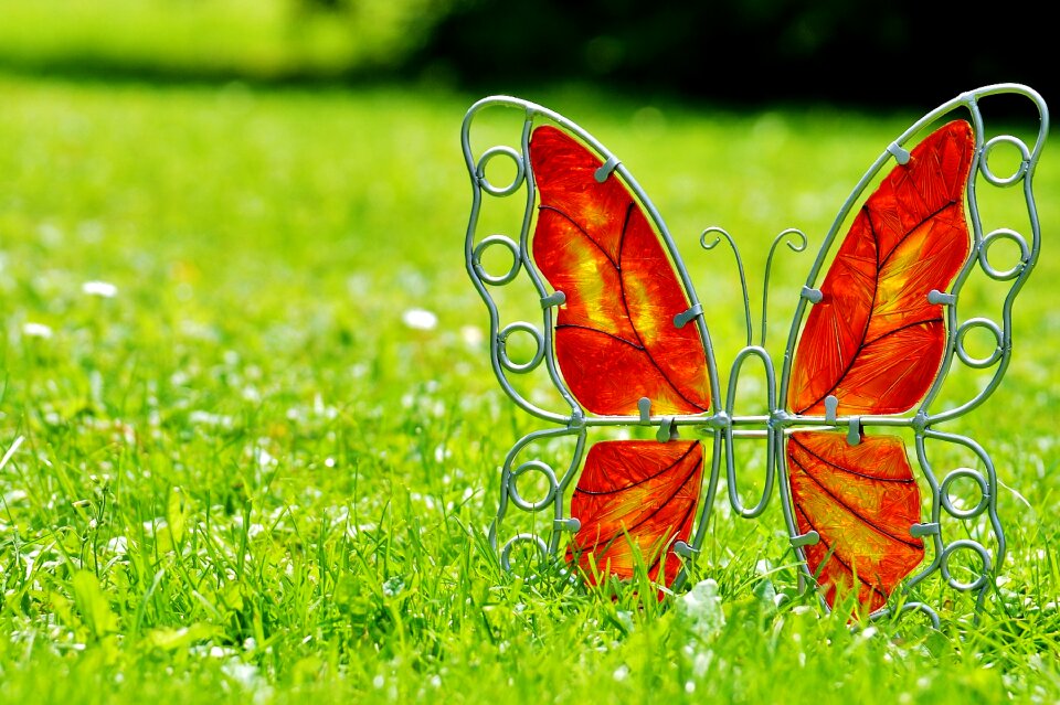 Decoration colorful meadow