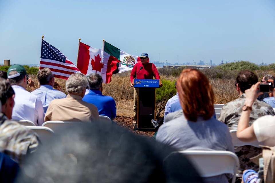 San Diego Bay National Wildlife Refuge - Wilkweed Planting Event
