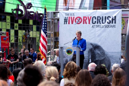 Ivory Crush 2015 - New York City