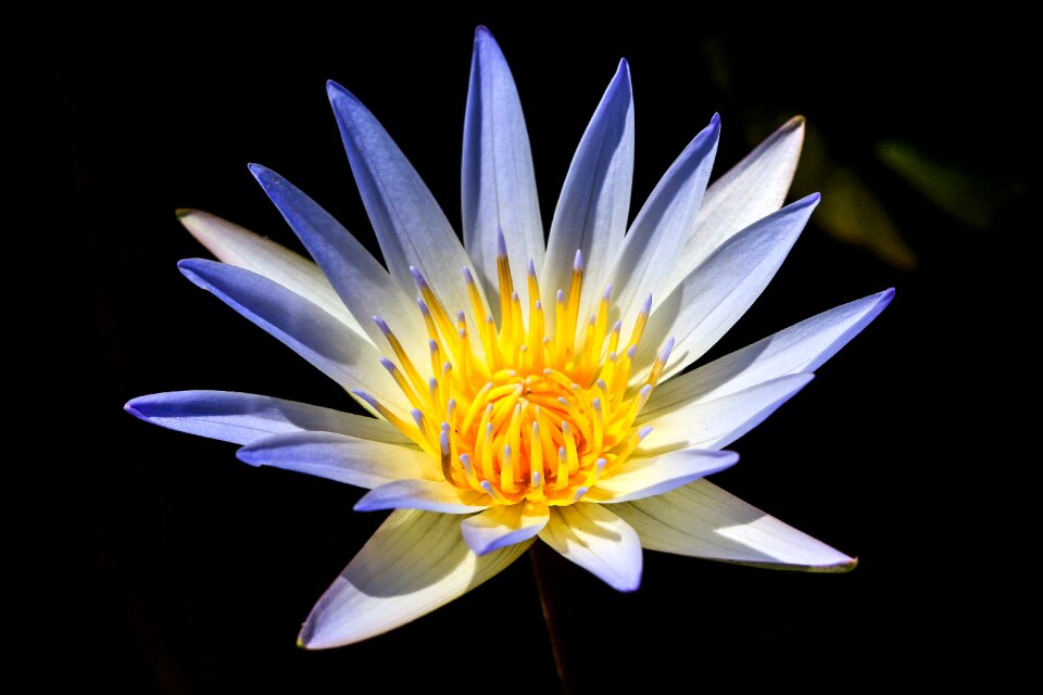 Water nature beauty in nature