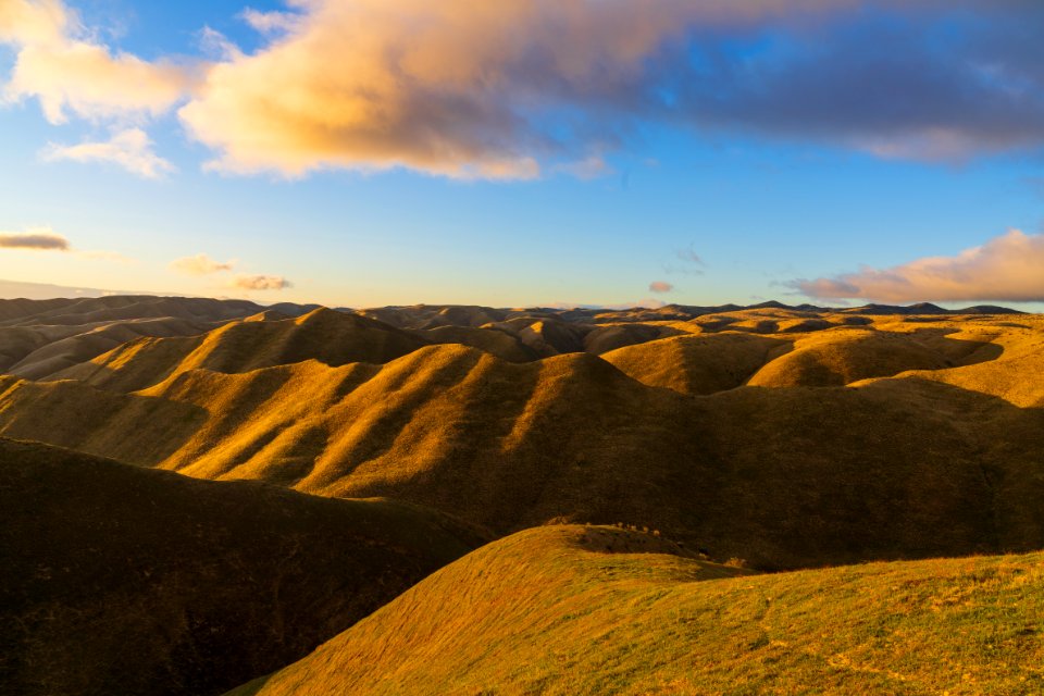 Panoche Hills