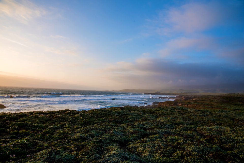 Piedras Blancas Outstanding Natural Area, part of the California Coastal National Monument