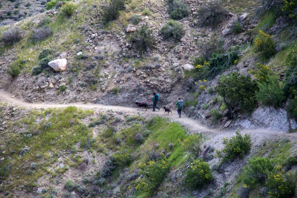 Pacific Crest Trail