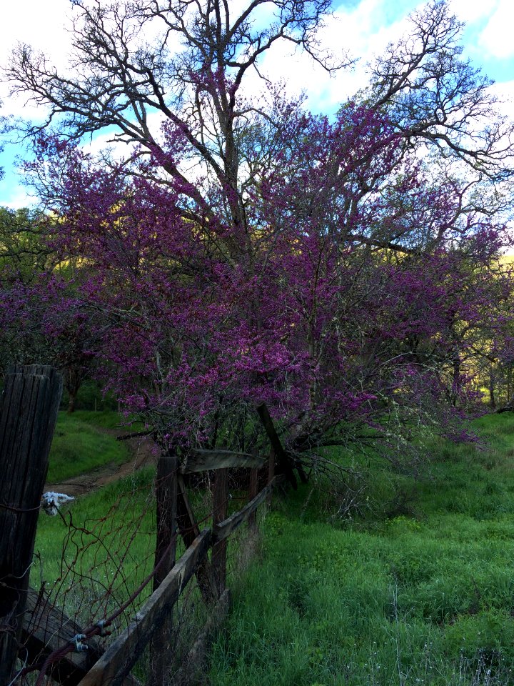 Berryessa Snow Mountain National Monument Dedication Celebration