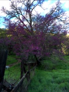 Berryessa Snow Mountain National Monument Dedication Celebration