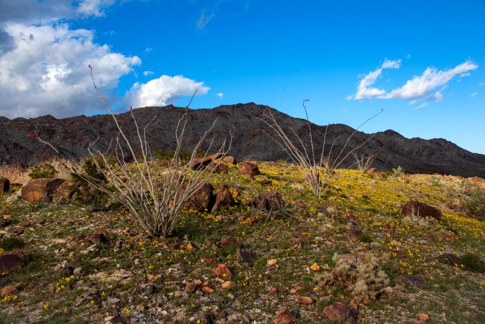 Corn Springs Campground