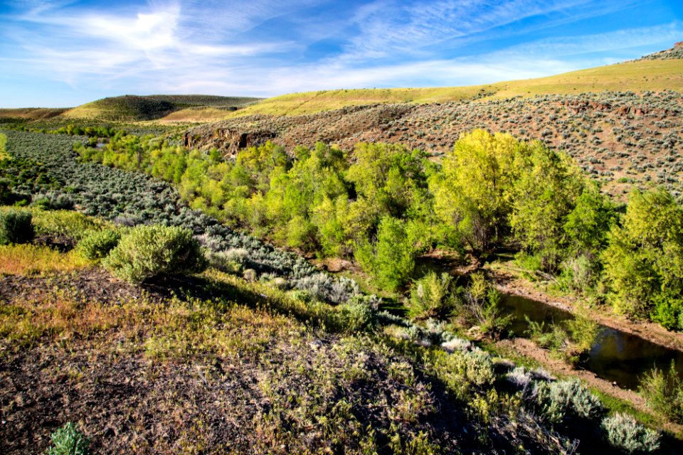 Smoke Creek Canyon, NV
