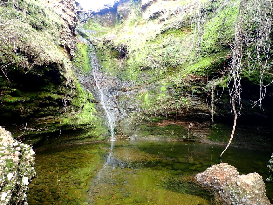 Turtle Creek Falls, Redding Field Office