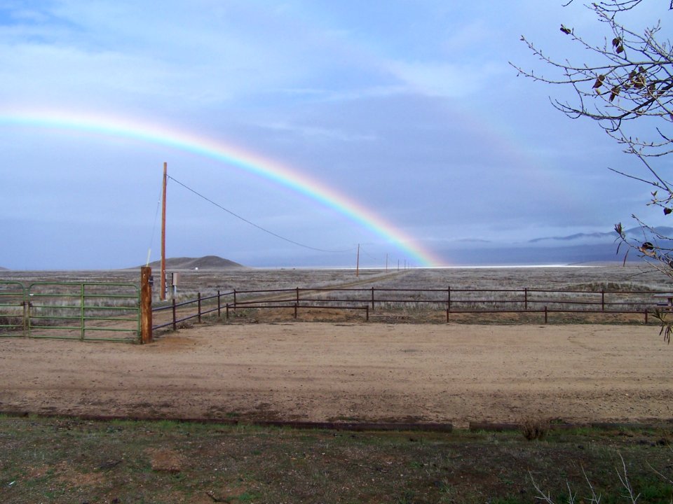 Carrizo Plain National Monument