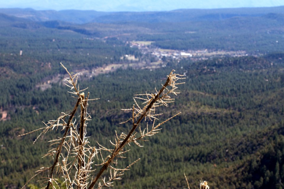 High Above Pine, Arizona