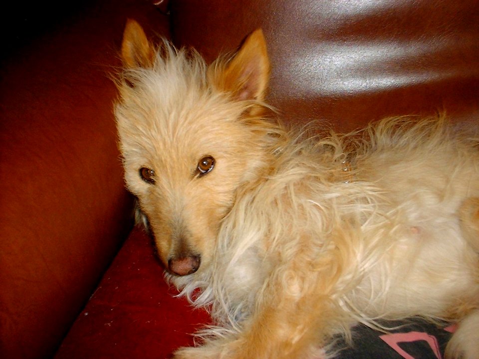 Ruda