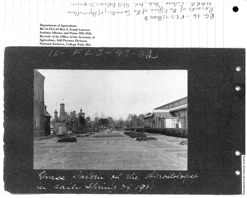 1901 Grass Garden of the Agrostologist in early spring of 1901 NARA II RG 16-FLS-43-22 Box 8