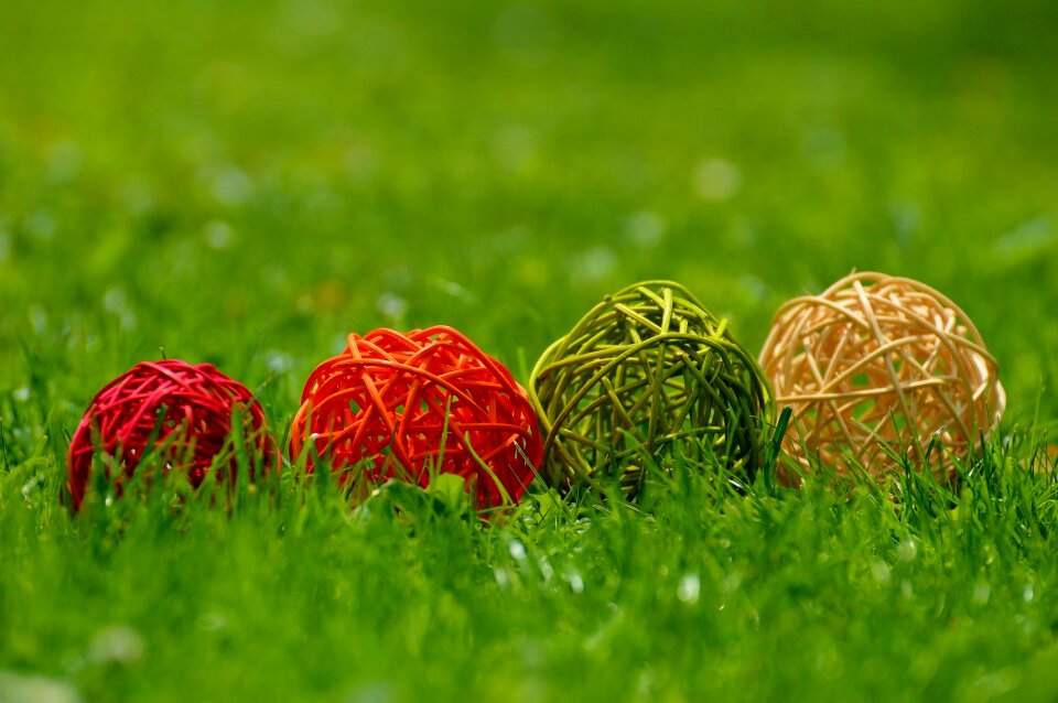 Wood colorful meadow