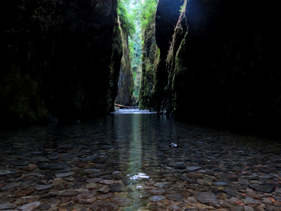 Oneonta Gorge in Oregon