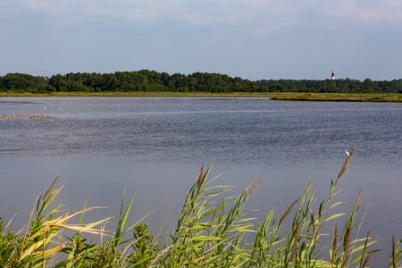 Chincoteague National Wildlife Refuge