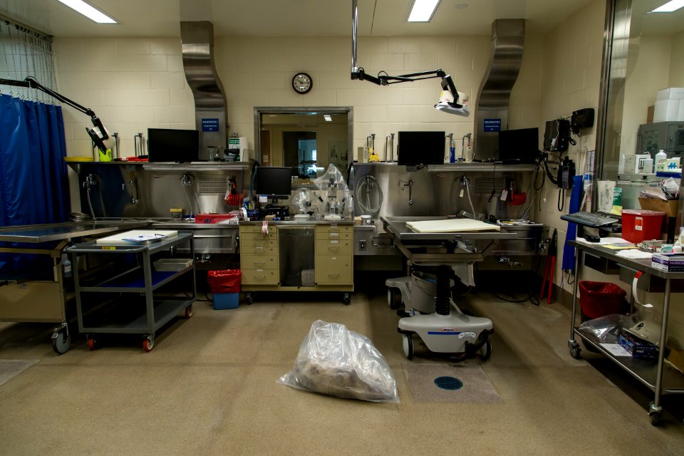 Wildlife Forensics Lab