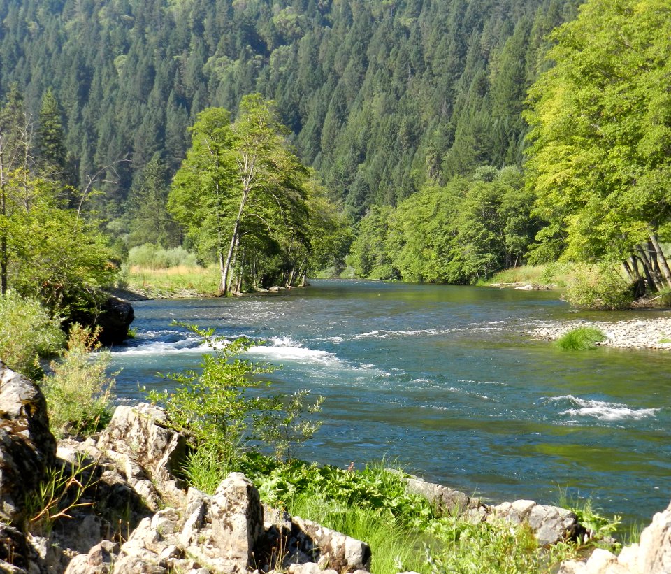 Trinity River