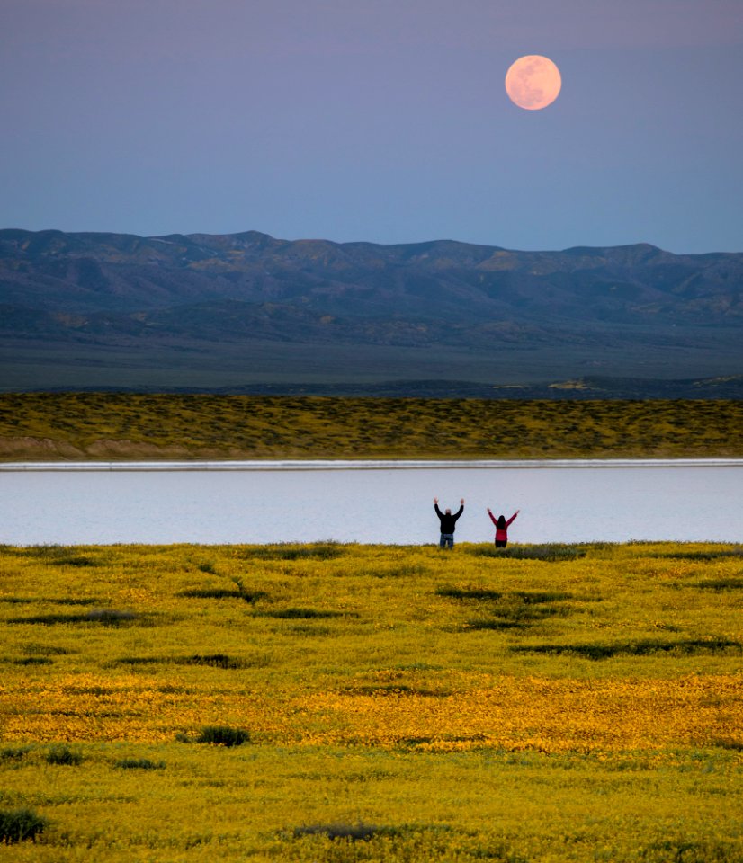 Super Bloom 2017 at Carrizo Plain National Monument