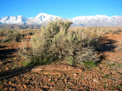 Volcanic Tablelands