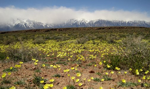 Volcanic Tablelands photo