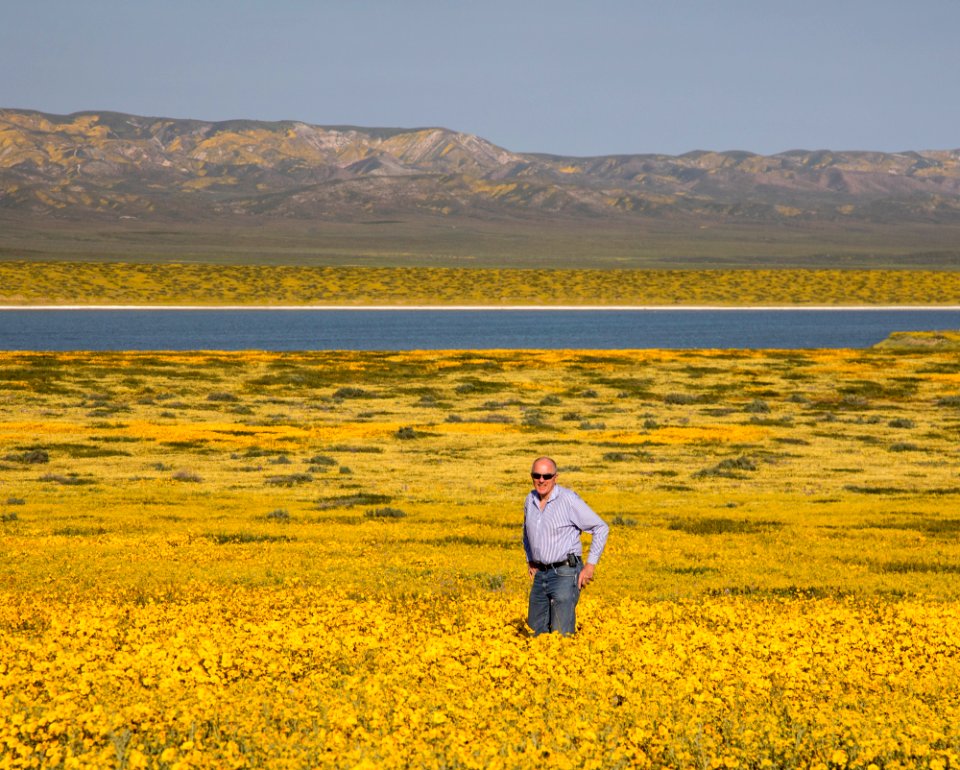 Super Bloom 2017 at Carrizo Plain National Monument