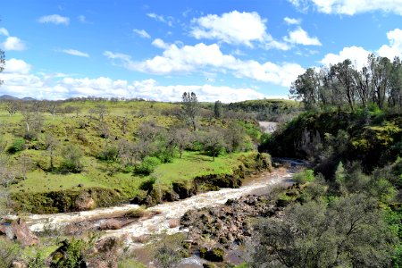 Paynes Creek photo