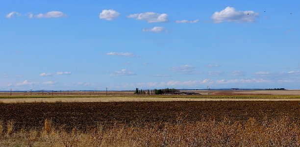 Campos de La Armuña