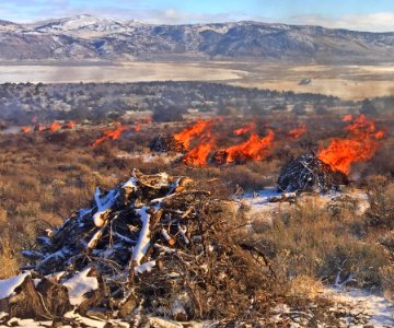 Calcutta Pile Burn December 2017 crop