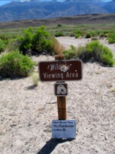Sign at Fish Slough