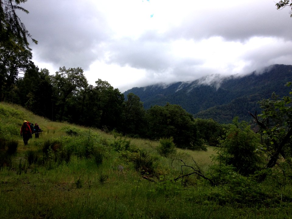 From the Field with SCA