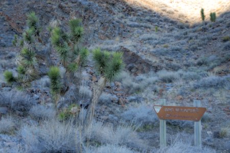 Inyo Mountain Wilderness