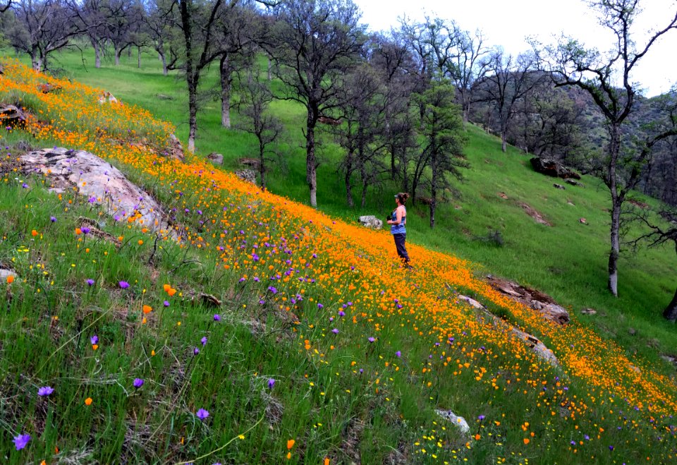 Merced River Recreation Area