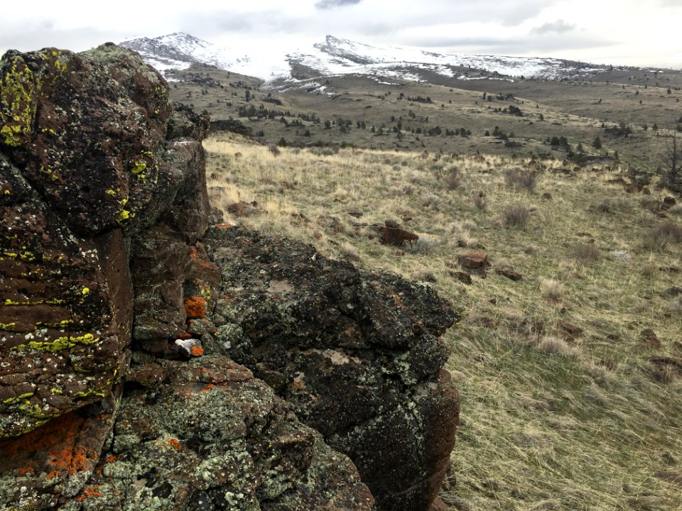 Shinn Mountain Spring, Eagle Lake Field Office