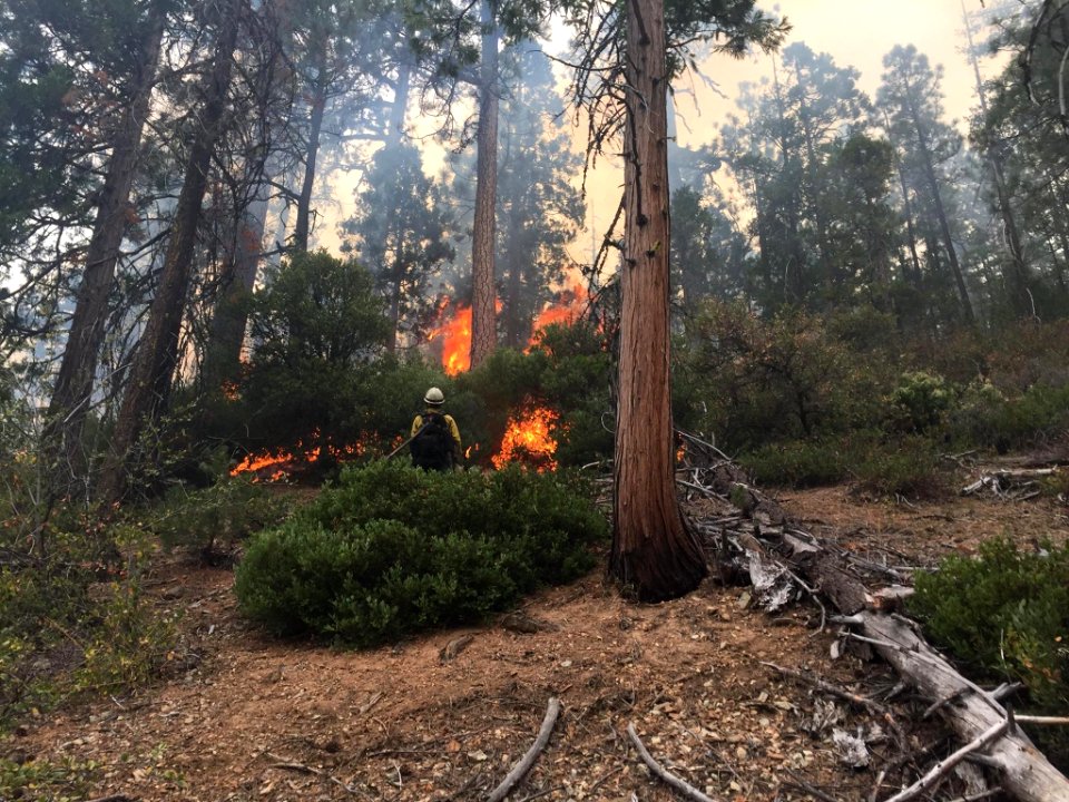 2016 Fire Season with the Folsom Lake Veterans' Fire Crew